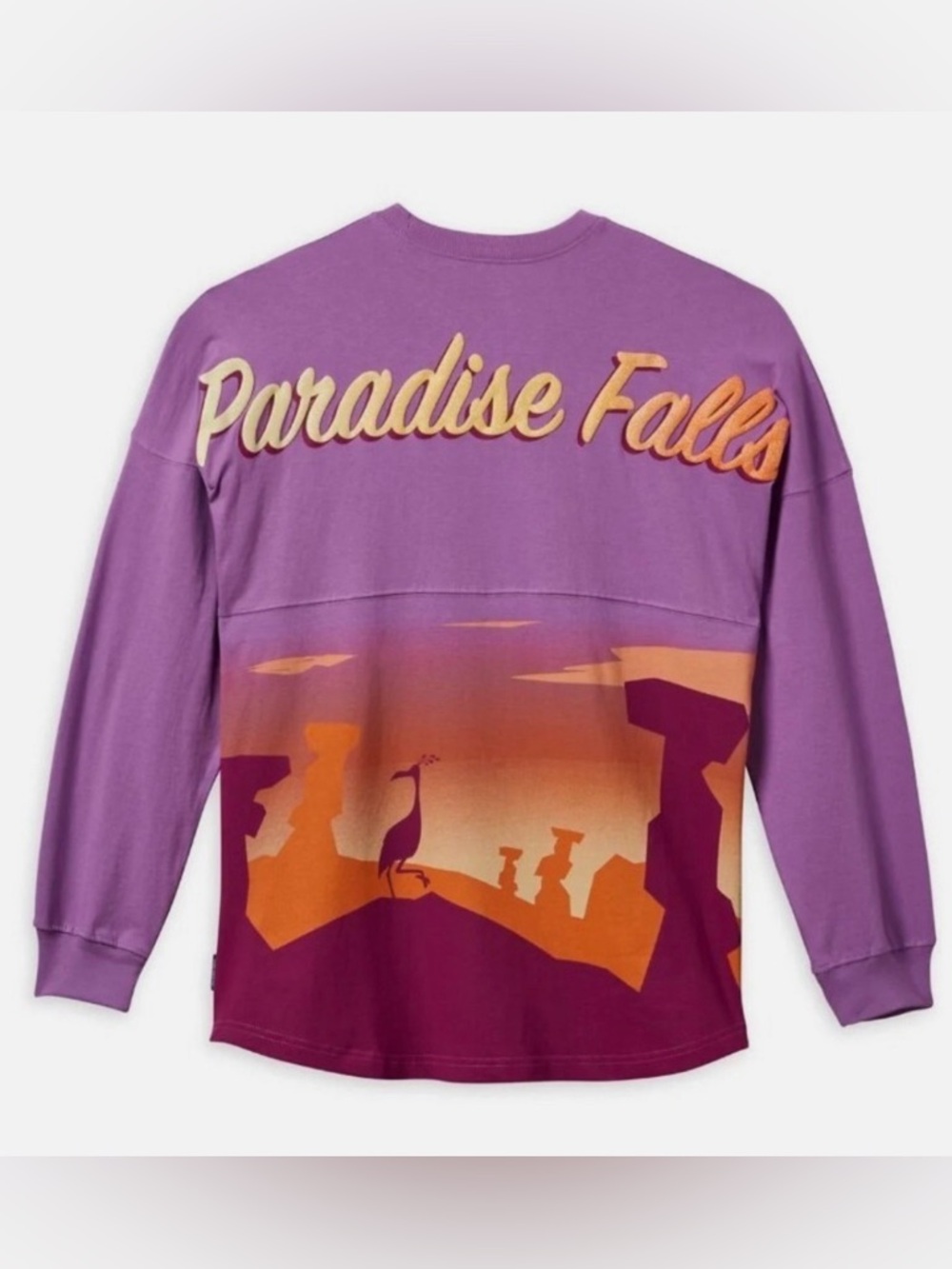 Disney Pixar Up Spirit Jersey Paradise Falls Screen Art Adults Size Small - Picture 3 of 3
